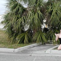 Pic #1Daring Adventure