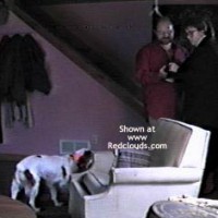 Pic #1*Jo Lori Stops By