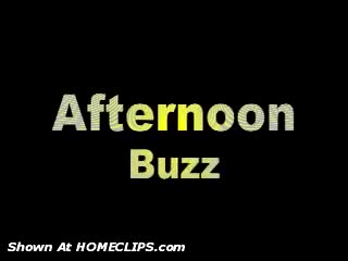 Pic #1M* Afternoon Buzz