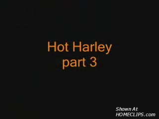 Pic #1Hot Harley Part 3