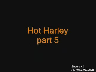 Pic #1Hot Harley Part 5