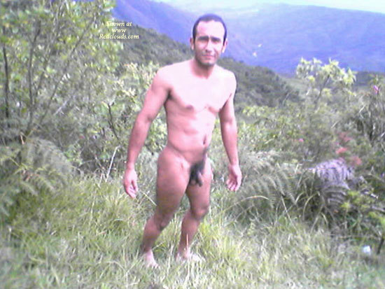 Pic #1My Contribution