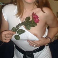 Wild Irish Rose