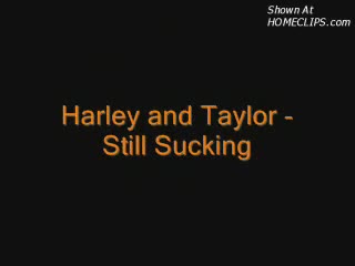 Pic #1Harley And Taylor - Still Sucking