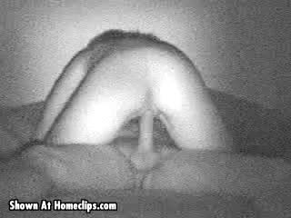 Pic #1New England Nookie 2