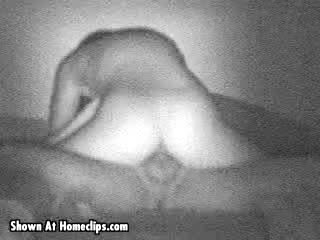 Pic #1New England Nookie 03