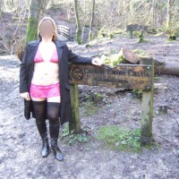 Walk In The Woods