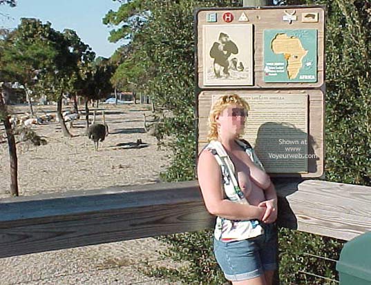 Pic #1Show_offs at The Zoo