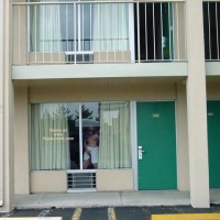 Purple Patty At The Window