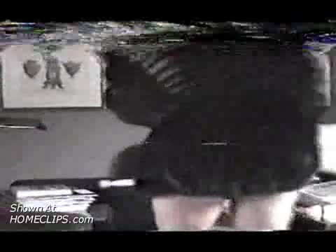 Pic #1Afternoon Fur Fun