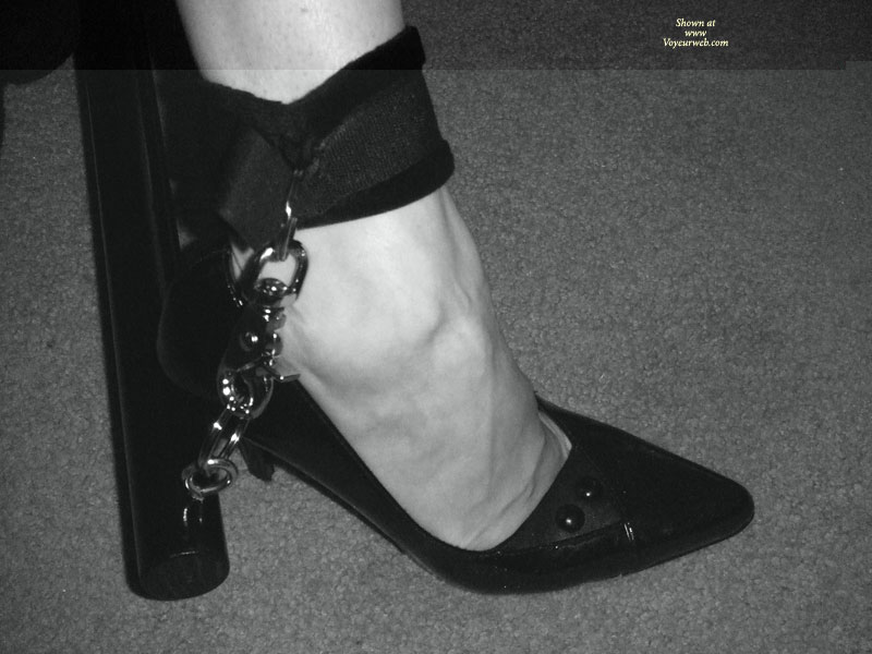 Pic #1 Amelia Bound II