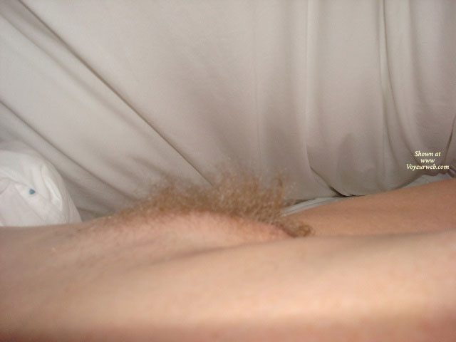 Pic #1 Pussy Mound And Bush