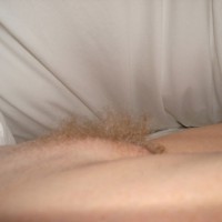Pic #1 Pussy Mound And Bush