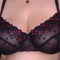 Pic #1Great Assetts