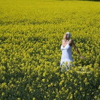 Janb White Dress Oilseed 