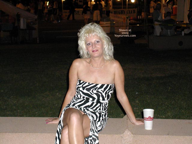 Pic #1St Louis Fun 3