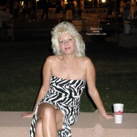 Pic #1St Louis Fun 3