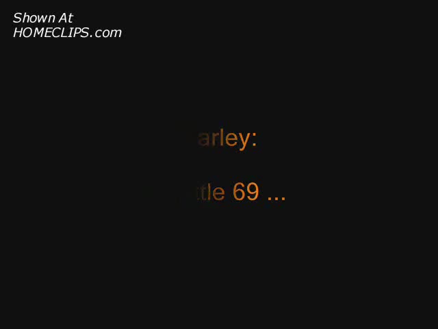 Pic #1Harley - A Little 69 ...