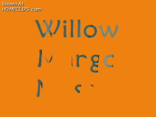 Pic #1Willow's Mango Mash 2
