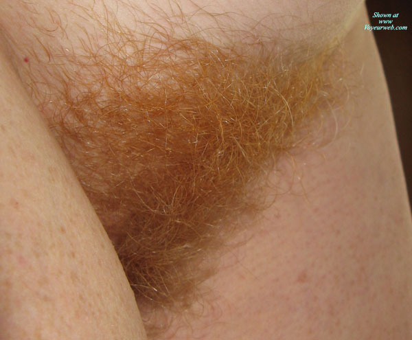 Pic #1 Fire Bush And Tits