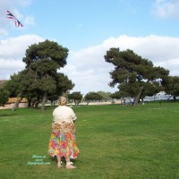 Pic #1 Flying The Kite
