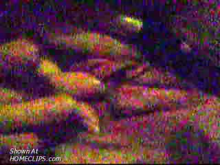 Pic #1Kandy Playing With Herself