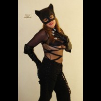 The Queen - The Cat3