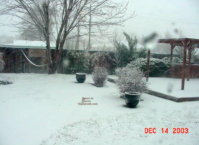 Pic #1Snow Day