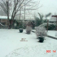 Pic #1 Snow Day