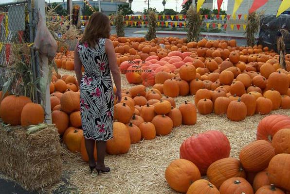 Pic #1*NY Upskirt at The Pumpkin Patch!