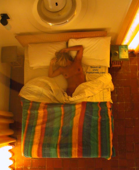 Pic #1 BE Rose Beneath a Fan