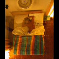 Pic #1BE Rose Beneath a Fan