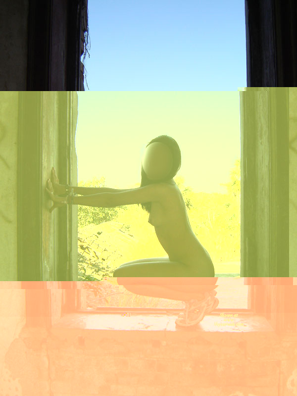 Pic #1 "House Of Fun"