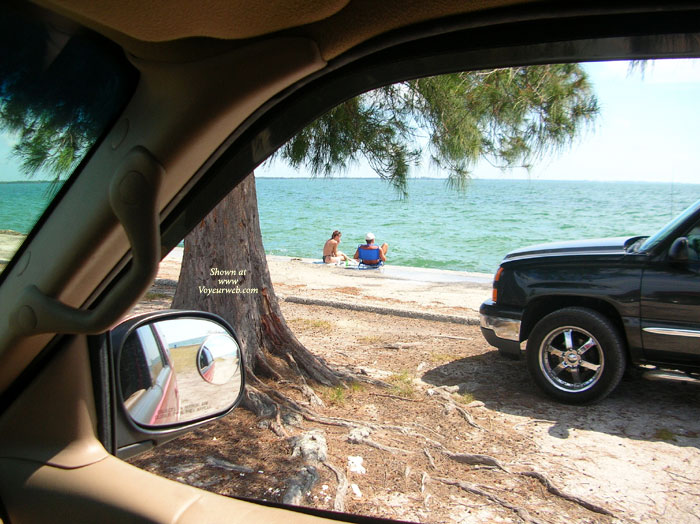 Pic #1Driving Along The Skyway