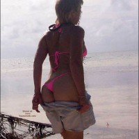 Pic #1Tropical Sun II