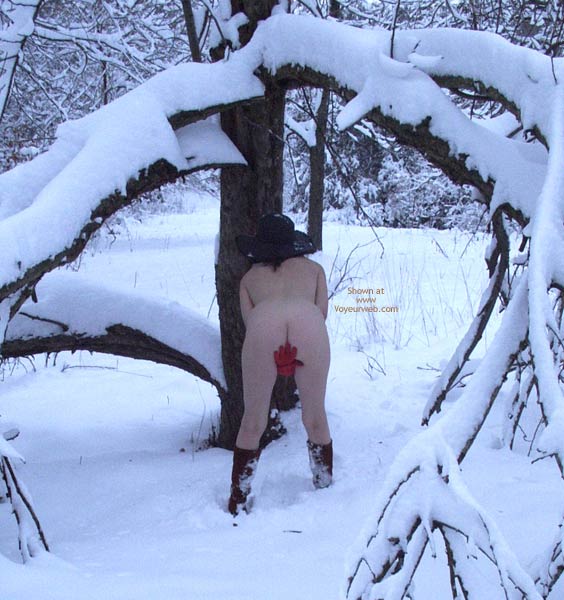 Pic #1*CH Flashin Ann Plays in The Snow!