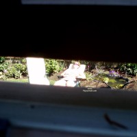 Pic #1 Neighbour Topless In Her Garden