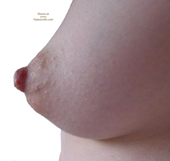 Pic #1My Paradise is Back!