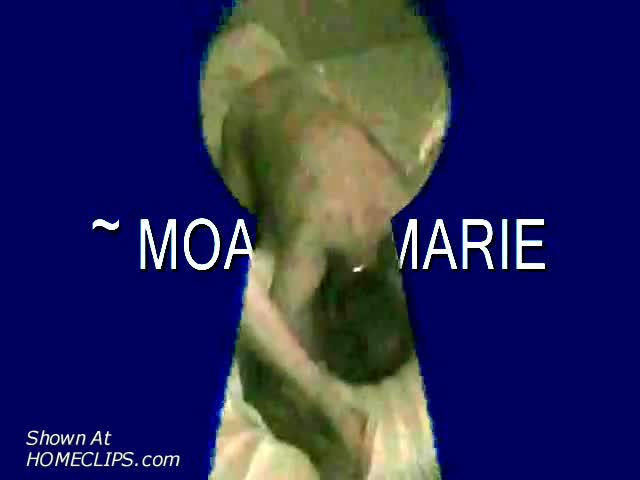 Pic #1Moanin Marie