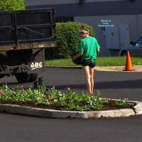 Landscape Worker