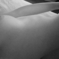 Pic #1 Parola