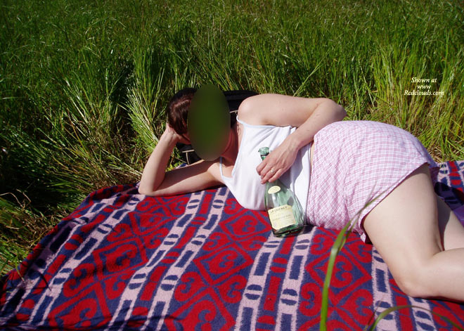 Pic #1Butterfly Has Picnic