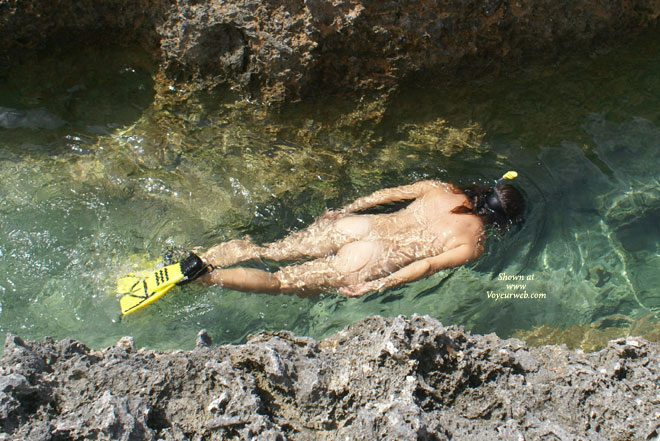 Pic #1 Aiyin's Caribbean 9