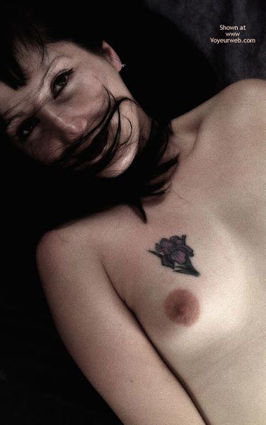 Pic #1Toris New Contri