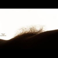 Pic #1 A Few Of Brookes Parts