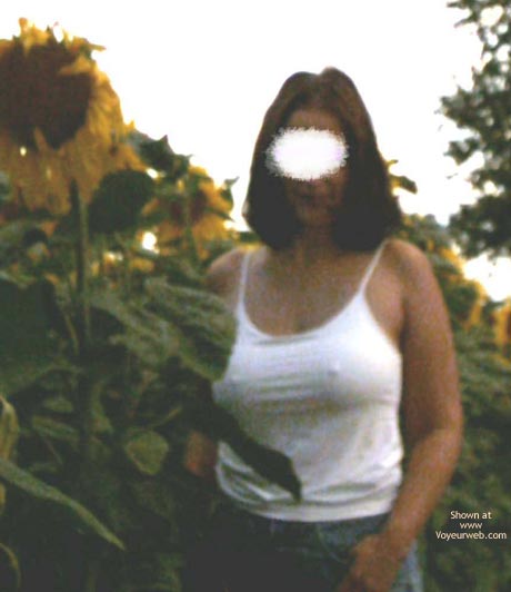 Pic #1Sunflowers Field 2003, 26 yo, Germany