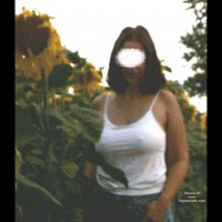 Pic #1Sunflowers Field 2003, 26 yo, Germany