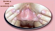 Pic #1our digital top 7