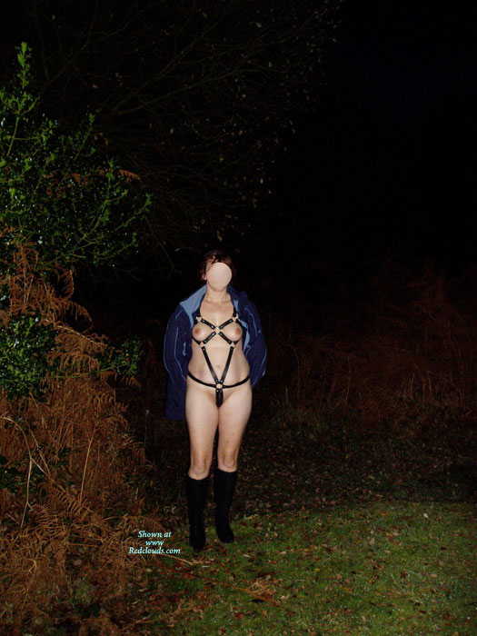 Pic #1Butterfly In Leather Harness