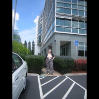 Pic #1 Lark